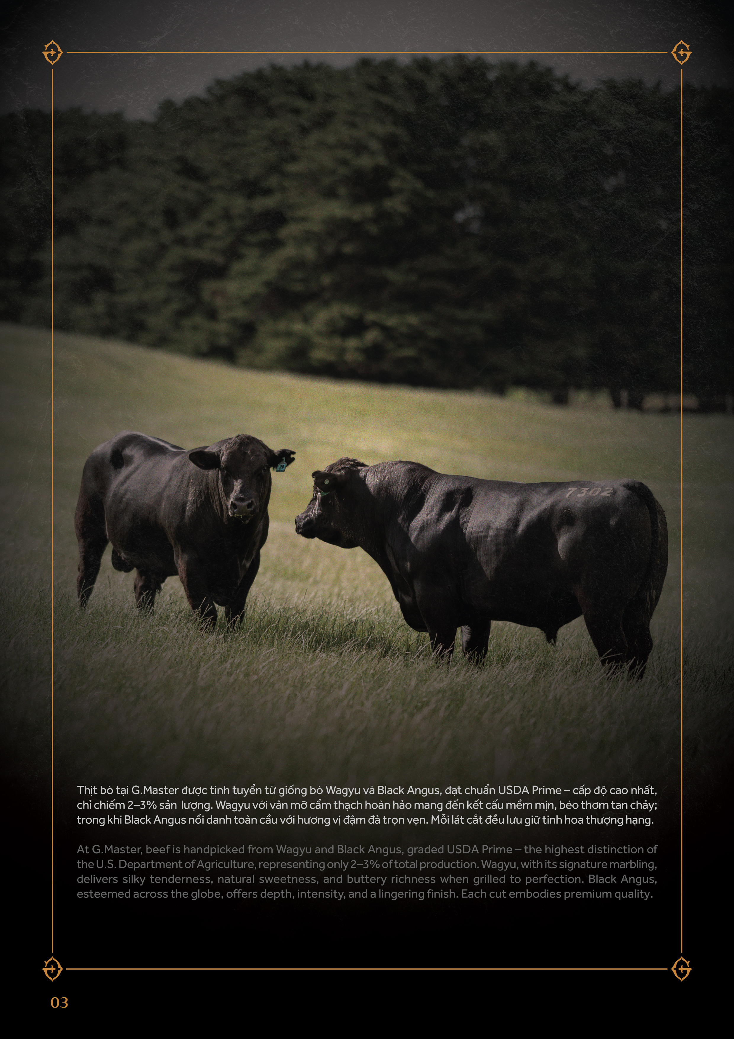 Thịt Bò - Hình 1